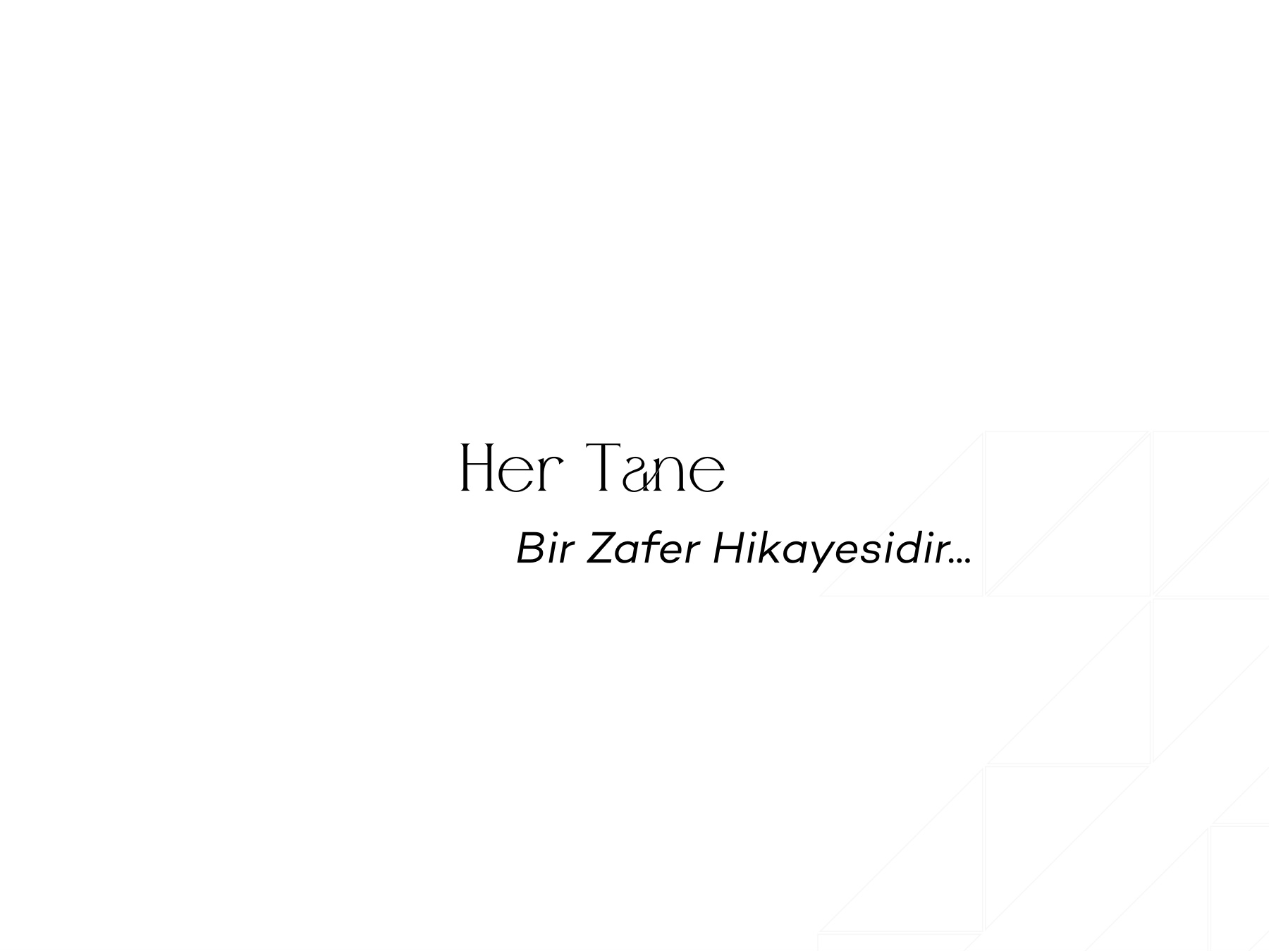 Zafer Yapı kataloğu sayfa 5