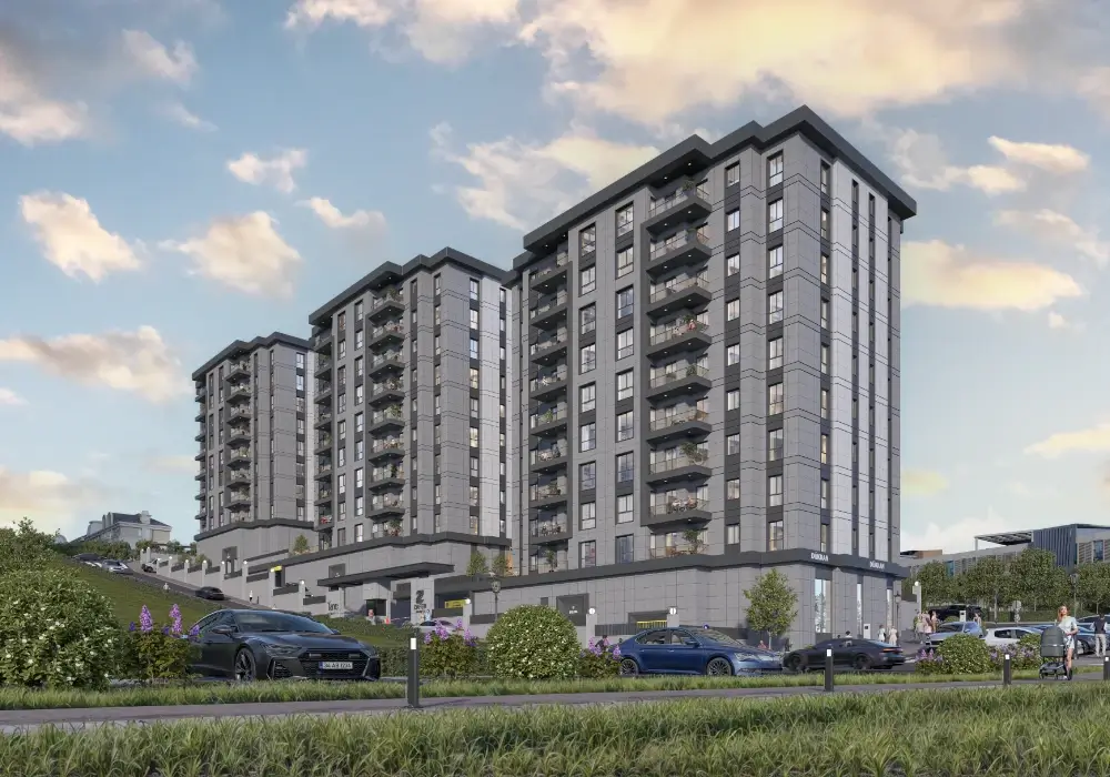 TANE OLİMPİYAT proje görseli 5