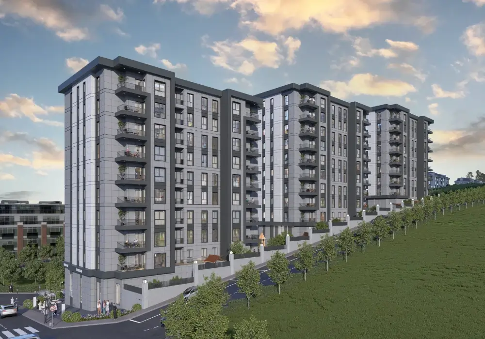 TANE OLİMPİYAT proje görseli 12