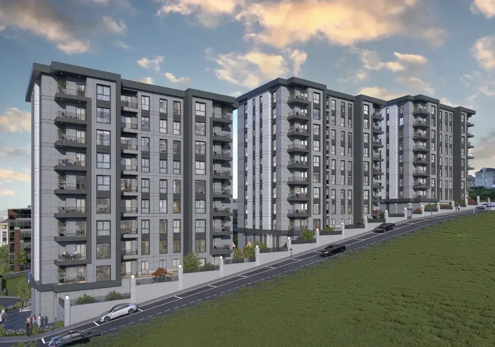 TANE OLİMPİYAT proje görseli 13